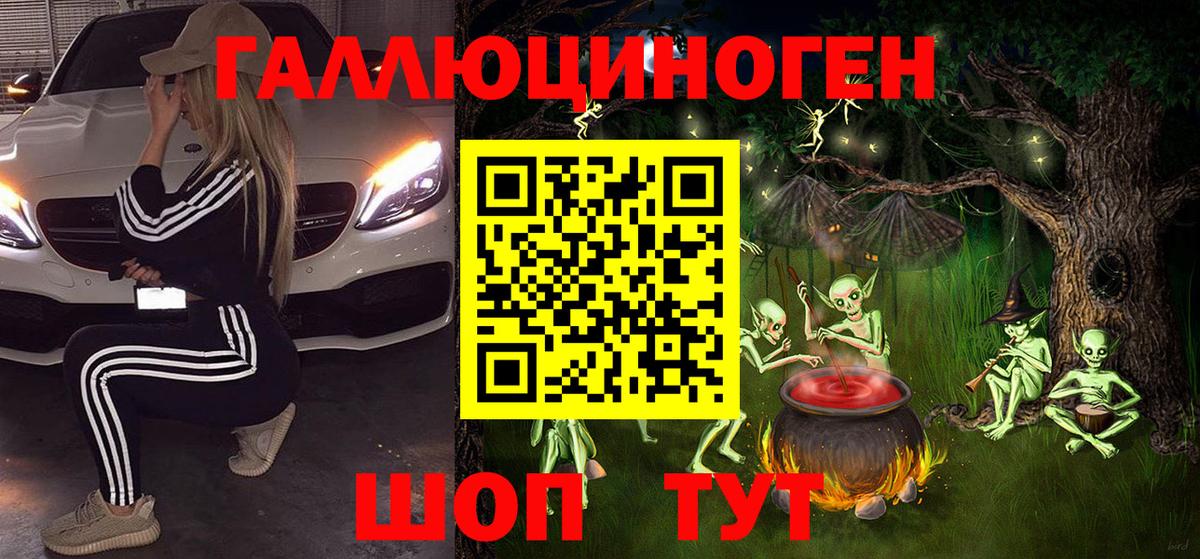 Галлюциногенные грибы Psilocybe Вятские Поляны
