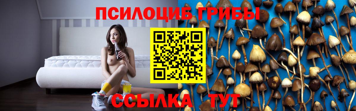 Галлюциногенные грибы MAGIC MUSHROOMS  Псилоцибиновые грибы MAGIC MUSHROOMS  Вход с VPN  Вятские Поляны 
